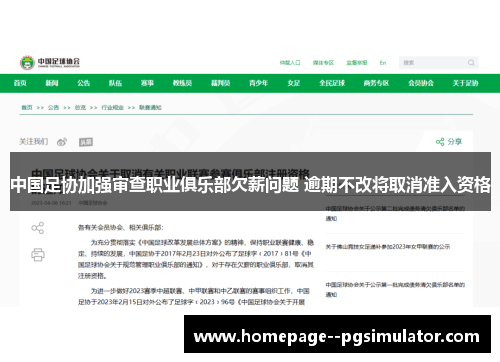 中国足协加强审查职业俱乐部欠薪问题 逾期不改将取消准入资格