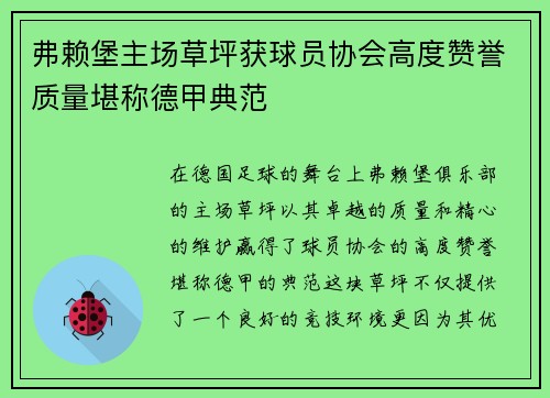 弗赖堡主场草坪获球员协会高度赞誉质量堪称德甲典范 弗赖堡主场草坪获球员协会高度赞誉质量堪称德甲典范